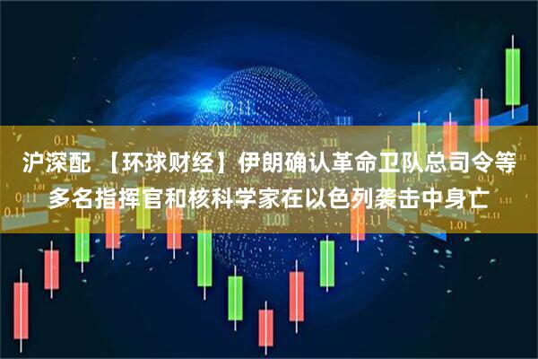 沪深配 【环球财经】伊朗确认革命卫队总司令等多名指挥官和核科学家在以色列袭击中身亡