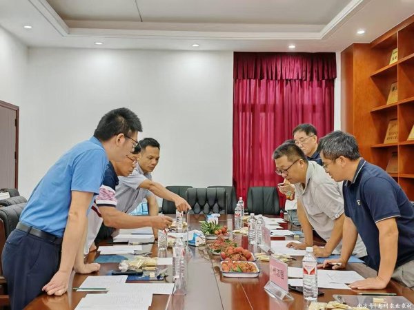 万利配资 第三届惠州市优质荔枝擂台赛举办