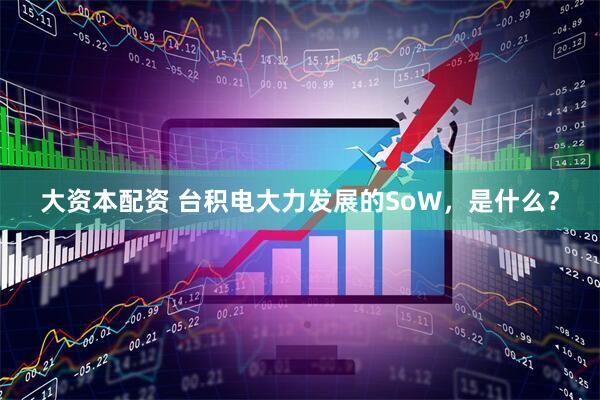 大资本配资 台积电大力发展的SoW，是什么？