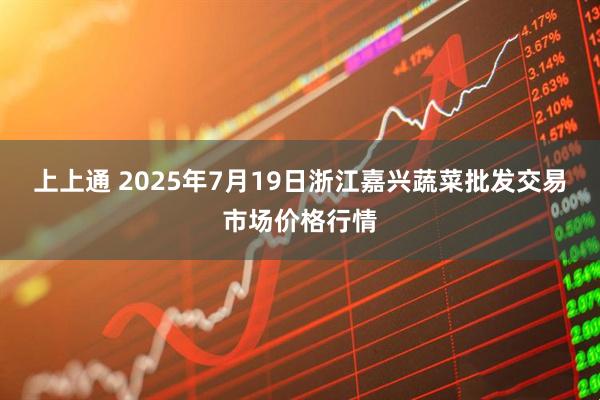上上通 2025年7月19日浙江嘉兴蔬菜批发交易市场价格行情
