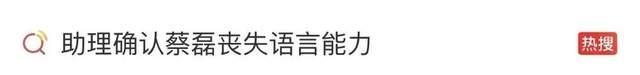 蔡磊深夜发文确认丧失语言能力